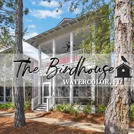 Villa The Birdhouse In Luxury Watercolor Brand New 6 Seat Golf Cart